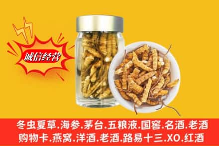 焦作温县回收散虫草
